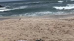 Sex man naked studs on beach and kinky boys teen gay porn movieture_b1e5f378