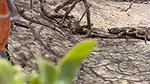 Sex man naked studs on beach and kinky boys teen gay porn movieture_b1e5f378