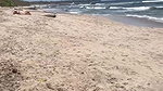 Sex man naked studs on beach and kinky boys teen gay porn movieture_b1e5f378