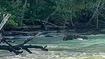 Girl pissing standing on a Public Beach Public Piss Fetish_60585c6c