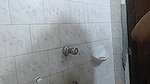 Anastasia_00 (3) shower show