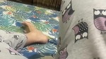 Humsafar13 (33) non nude teasing