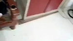 MirchiGirl 2 boobs pussy