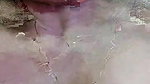 Sohani_kor (4) private show closeup beautiful pussy