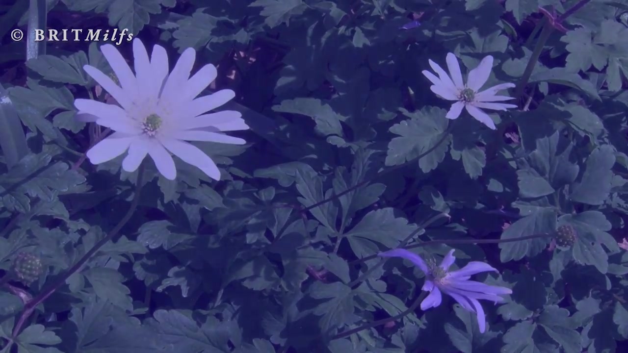 Frame 10