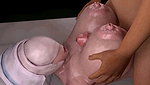 Fairy Tail – Mirajane Strauss 3D Hentai_d9bd078a