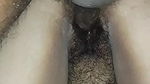 Indian husband wife sex Desi bhabhi.