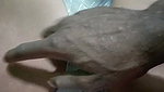 Sexy bhabhi bj 2 clips marged