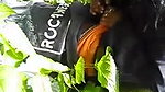 Sexy desi babe sucking huge cock in park while friend records