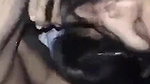 Beauty Lover Gives Nice Blowjob