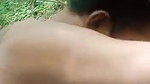 Odia girl outdoor fucking with lover scandal
