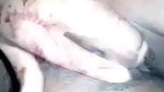 Cute Horny Girl Showing And Fingering
