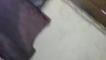 Sexy Desi Bhabhi Blowjob