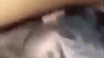 Desi Girl Sucking Lover Dick