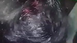 Desi Girl Sucking Lover Dick