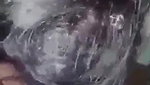 Desi Girl Sucking Lover Dick