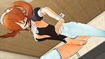 3D 8733 Meido-San. vol.1