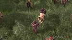Tribe Preview