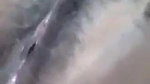 Unsatisfied Sexy Bengali Boudi Fingering