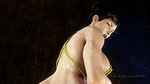 Chin Li Stoneddude Street Fighter Animated Hentai 3D CGI Video