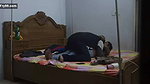 Desi Young College Girl Porn