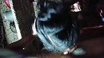 Wife Fucking And Giving Blowjob