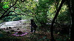 Smita sana nippleslip – Camping In Dense Forest Forest Adventure