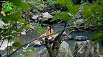 Smita sana nippleslip – Camping In Dense Forest Forest Adventure