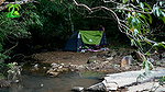 Smita sana nippleslip – Camping In Dense Forest Forest Adventure
