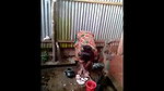 Desi Village Girl Outdoor Shower