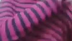 Chubby bhabi Girl Showing her sexy pussy