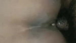 Desi Bhabhi Blowjob and Fucked