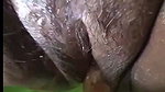 Desi village aunty Close fucking