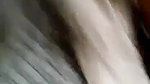Desi Girl Hard Fucked By Lover