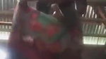 Bangla Village Bhabi Showing