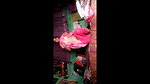 Desi Village Girl Showing Her Milky tits And Junglee Chooth