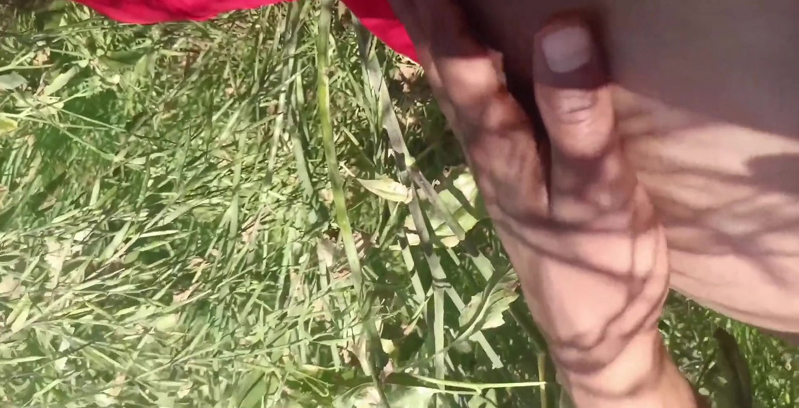 Cheating the sister-in-law working on the farm by luring money In hindi voice