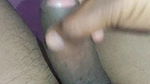 Desi dick