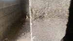 She Got What She Wanted Hot Fuck