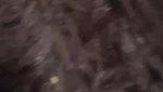 Nalgonasex_ 67 amaizing each other fucking