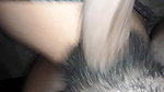 BallbustingExtremeBB Kneeing and Grinding