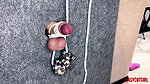 Mistress Tightly Tied the Slaves Cock and Balls by Hanging a Load on them EasyCBTGirl