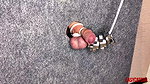Mistress Tightly Tied the Slaves Cock and Balls by Hanging a Load on them EasyCBTGirl