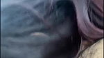 Samsinghal010 15 blowjob and pussy fingering1