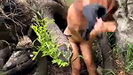 Nalgonasex_ 77 both girls squirting