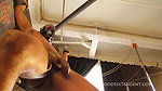 Hot Ballbusting Slave