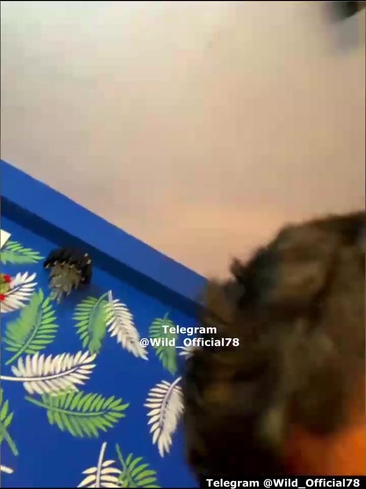 Frame 10
