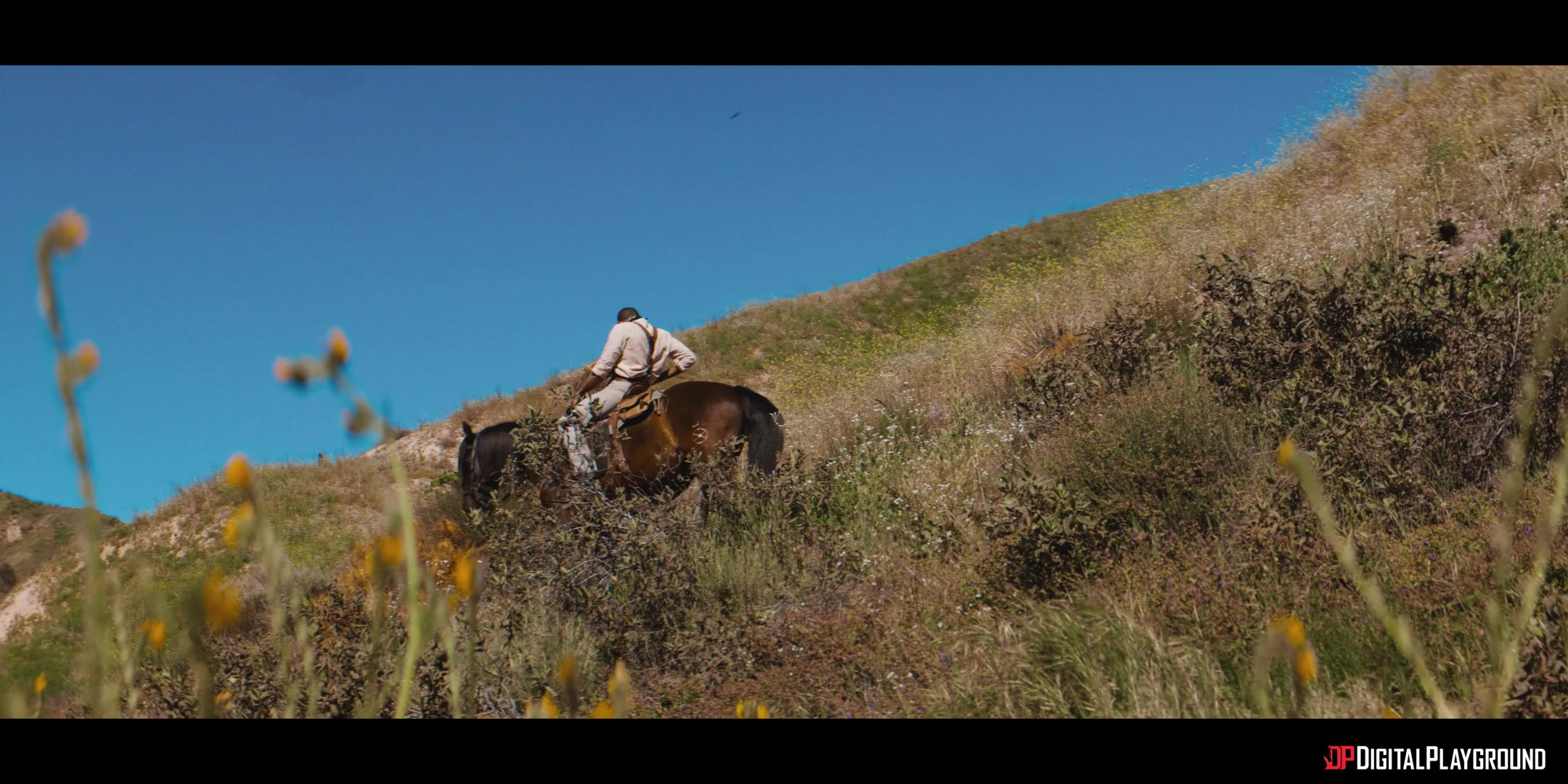 Frame 10