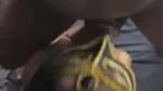 Black-Blowjob-Queen Romantic_3some 7 Ticket show 3 some hardcore fucking