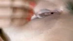 Noughty_Bhabhi 3 Ticket show face show and pussy fingering
